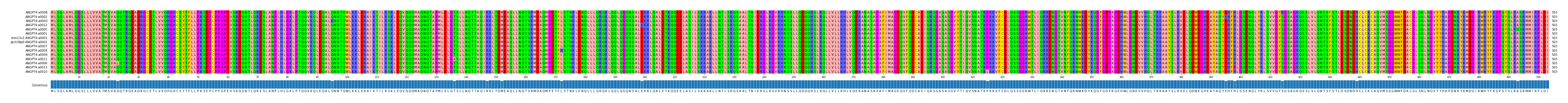 Multiple Alignments (by translate haplotype similarity)