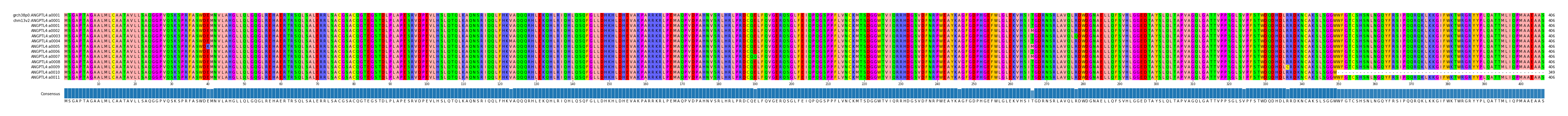 Multiple Alignments (by translate haplotype frequency)