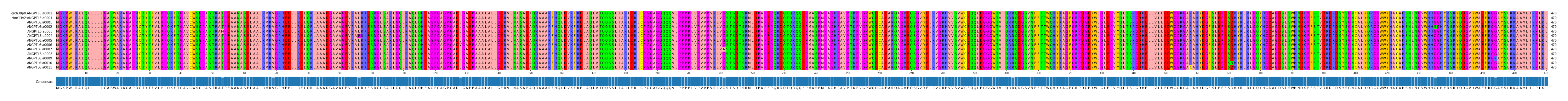 Multiple Alignments (by translate haplotype frequency)