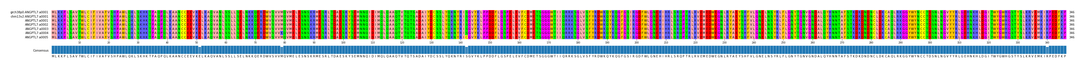 Multiple Alignments (by translate haplotype frequency)