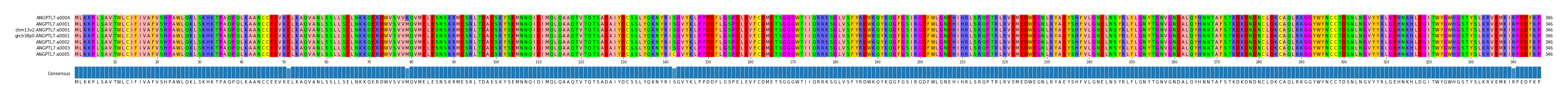 Multiple Alignments (by translate haplotype similarity)