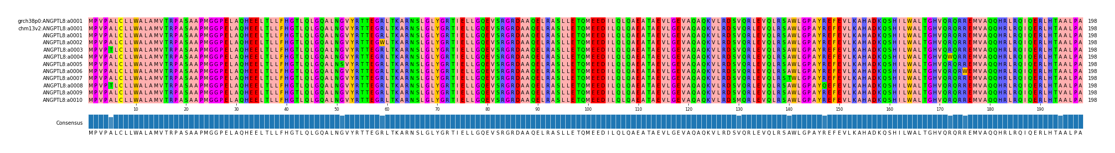Multiple Alignments (by translate haplotype frequency)