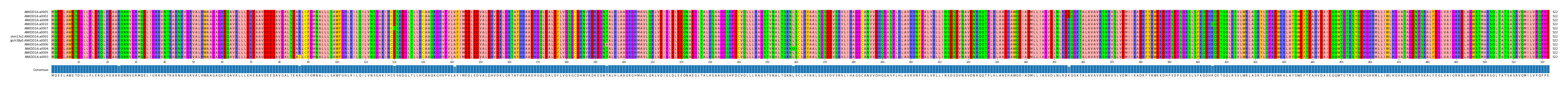 Multiple Alignments (by translate haplotype similarity)