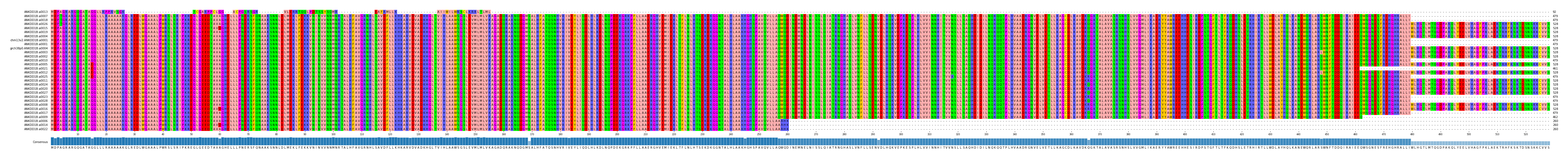 Multiple Alignments (by translate haplotype similarity)