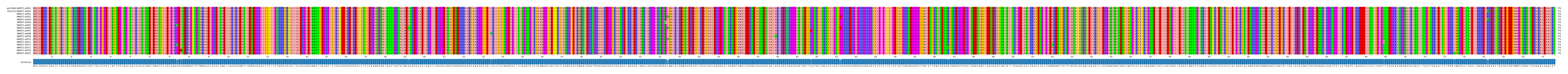 Multiple Alignments (by translate haplotype frequency)