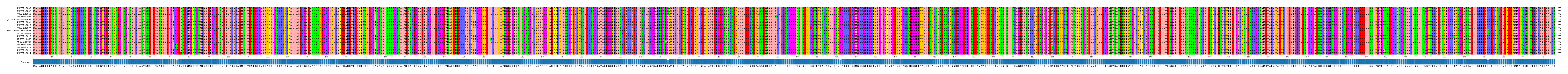 Multiple Alignments (by translate haplotype similarity)