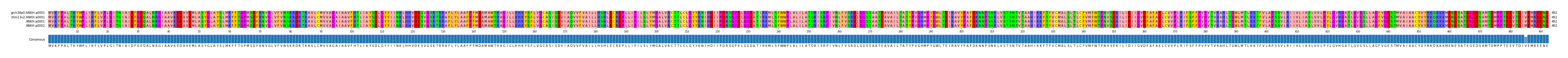 Multiple Alignments (by translate haplotype similarity)