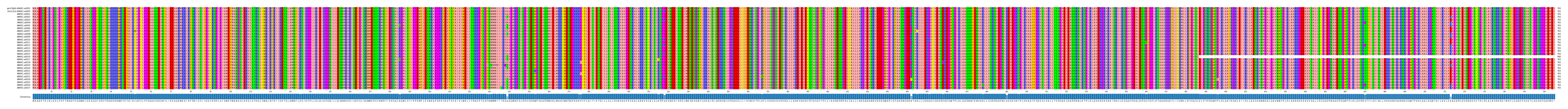 Multiple Alignments (by translate haplotype frequency)