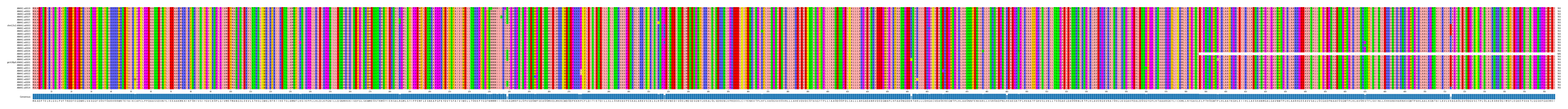 Multiple Alignments (by translate haplotype similarity)