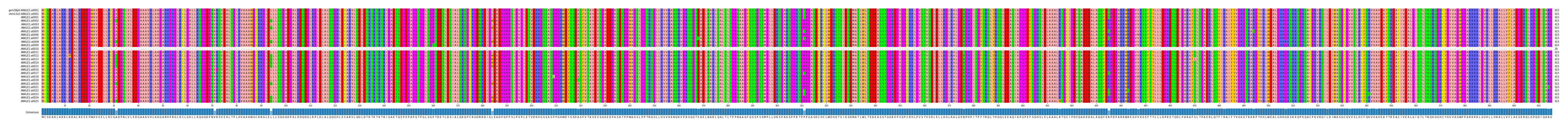 Multiple Alignments (by translate haplotype frequency)