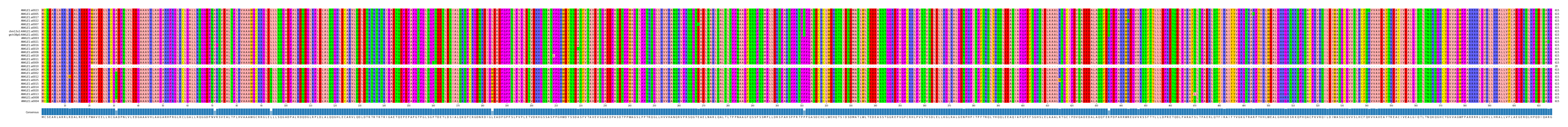 Multiple Alignments (by translate haplotype similarity)