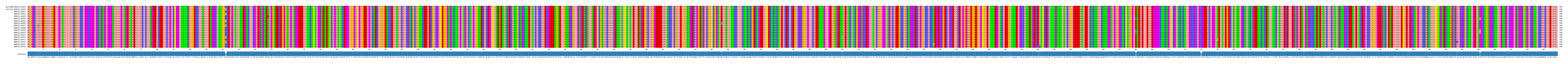 Multiple Alignments (by translate haplotype frequency)
