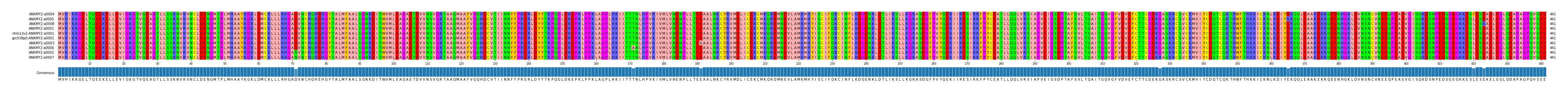Multiple Alignments (by translate haplotype similarity)