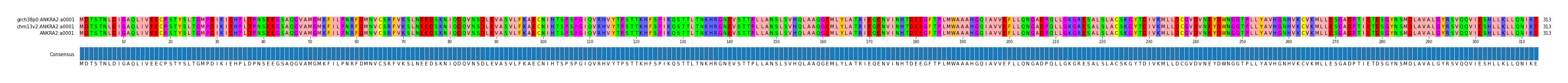 Multiple Alignments (by translate haplotype similarity)