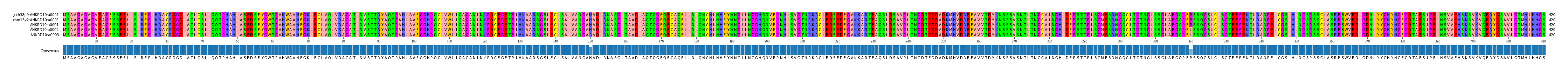 Multiple Alignments (by translate haplotype similarity)