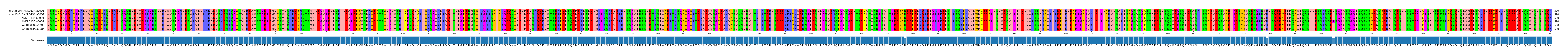 Multiple Alignments (by translate haplotype frequency)
