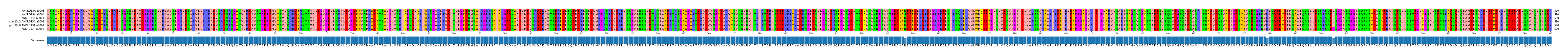 Multiple Alignments (by translate haplotype similarity)