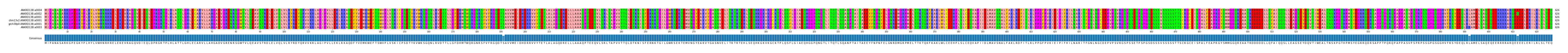 Multiple Alignments (by translate haplotype similarity)