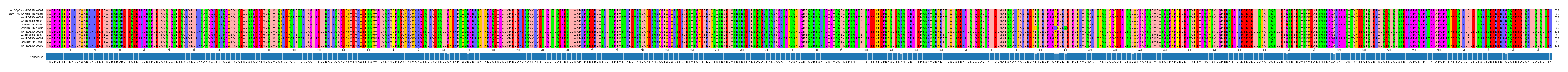 Multiple Alignments (by translate haplotype frequency)