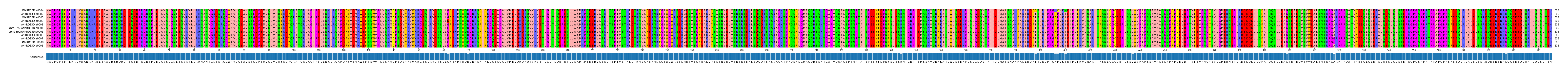 Multiple Alignments (by translate haplotype similarity)