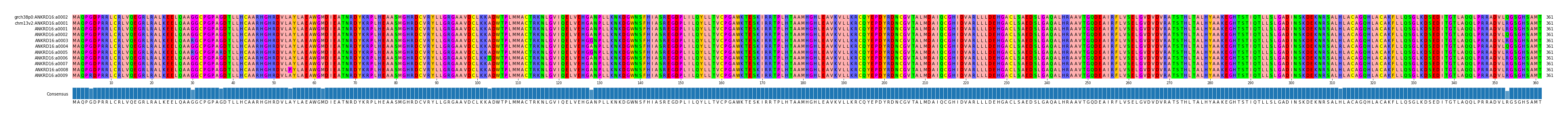 Multiple Alignments (by translate haplotype frequency)