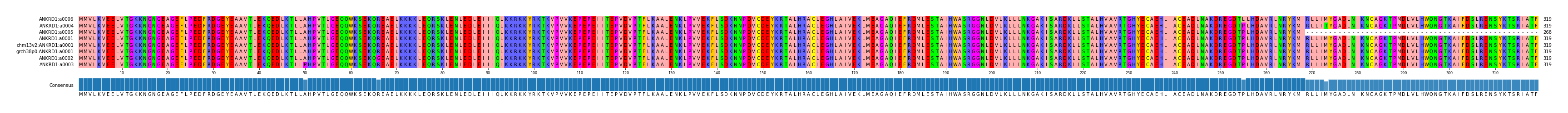 Multiple Alignments (by translate haplotype similarity)