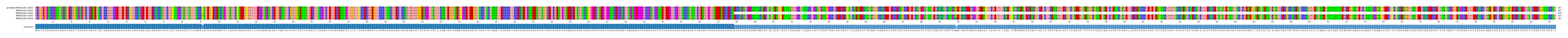Multiple Alignments (by translate haplotype frequency)