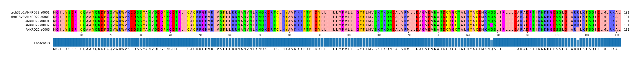 Multiple Alignments (by translate haplotype frequency)