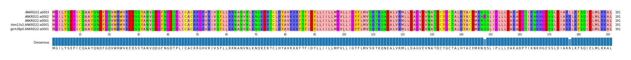 Multiple Alignments (by translate haplotype similarity)