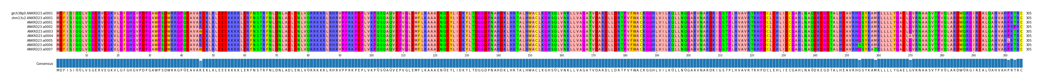 Multiple Alignments (by translate haplotype frequency)