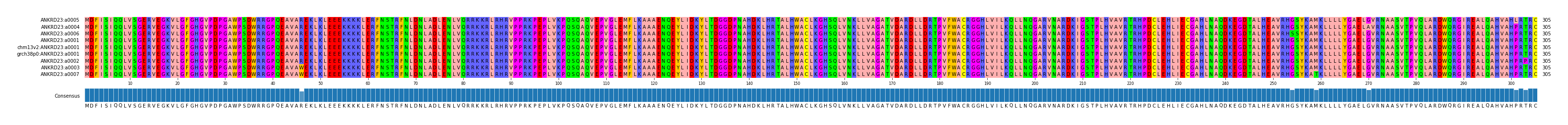 Multiple Alignments (by translate haplotype similarity)