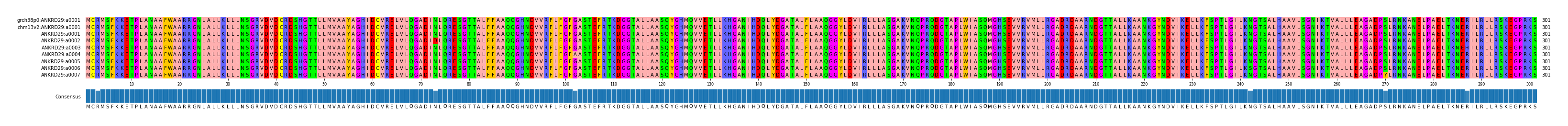 Multiple Alignments (by translate haplotype frequency)