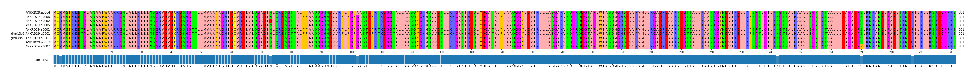 Multiple Alignments (by translate haplotype similarity)