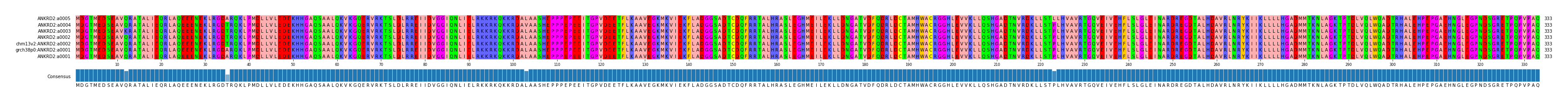 Multiple Alignments (by translate haplotype similarity)