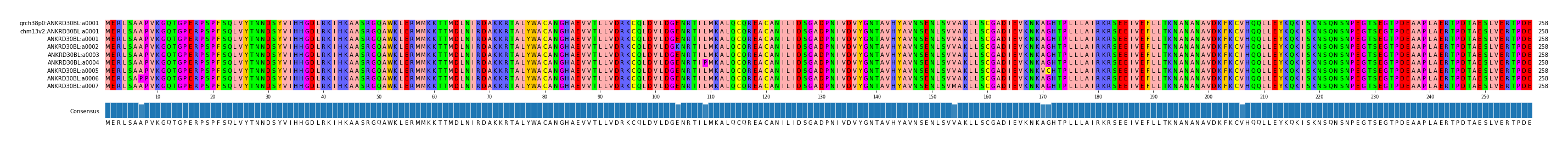 Multiple Alignments (by translate haplotype frequency)