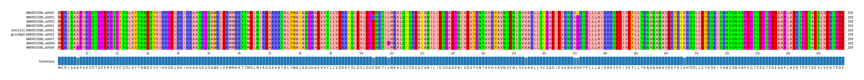Multiple Alignments (by translate haplotype similarity)