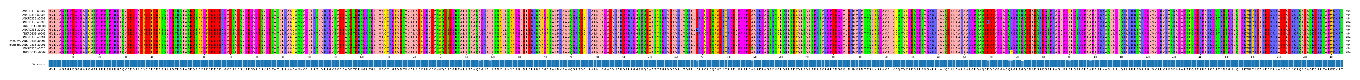 Multiple Alignments (by translate haplotype similarity)