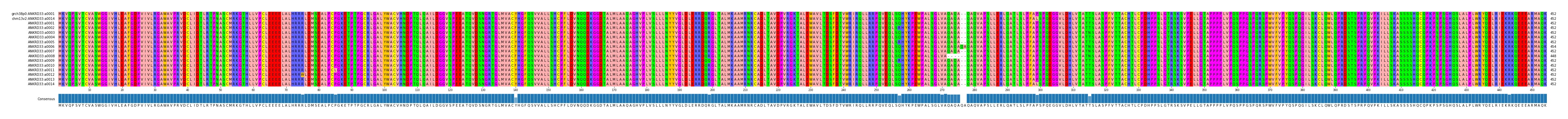 Multiple Alignments (by translate haplotype frequency)