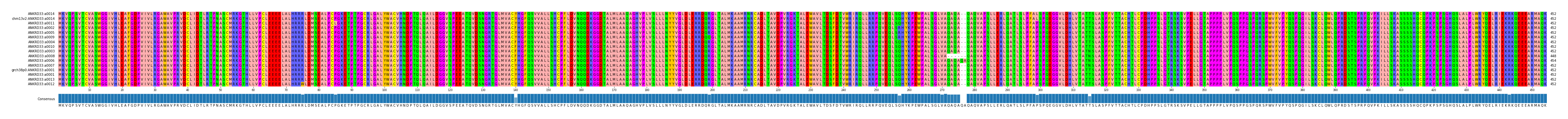 Multiple Alignments (by translate haplotype similarity)