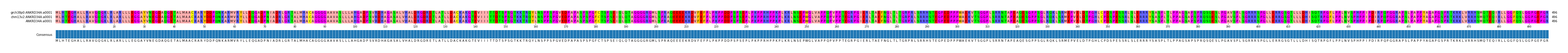 Multiple Alignments (by translate haplotype similarity)