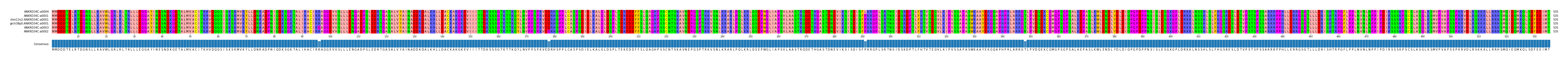 Multiple Alignments (by translate haplotype similarity)