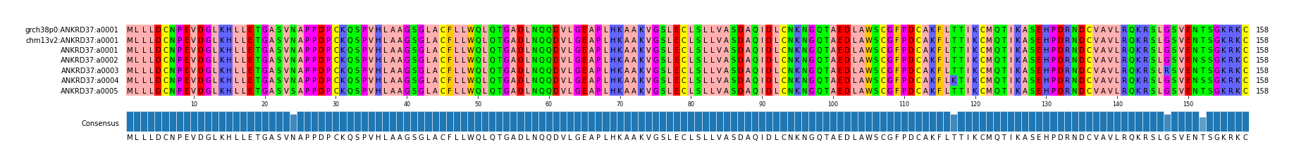 Multiple Alignments (by translate haplotype frequency)