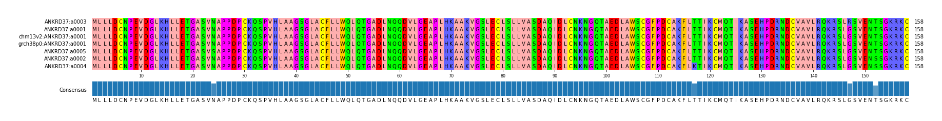 Multiple Alignments (by translate haplotype similarity)