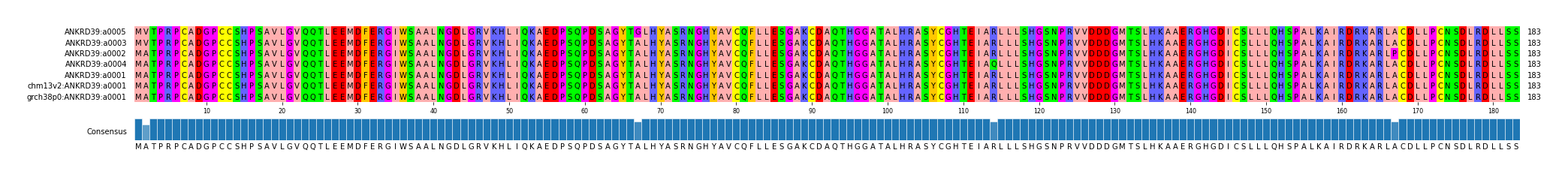 Multiple Alignments (by translate haplotype similarity)