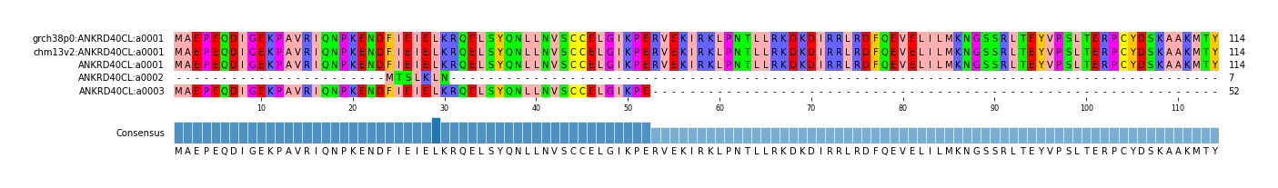 Multiple Alignments (by translate haplotype frequency)