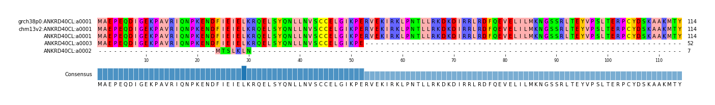 Multiple Alignments (by translate haplotype similarity)