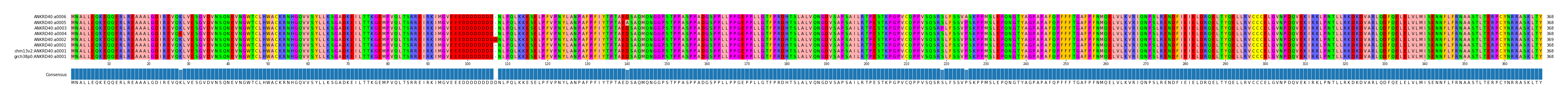 Multiple Alignments (by translate haplotype similarity)