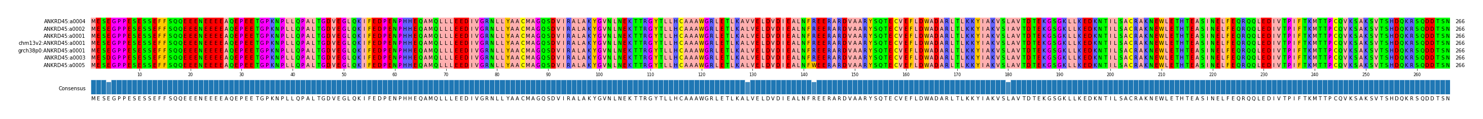 Multiple Alignments (by translate haplotype similarity)