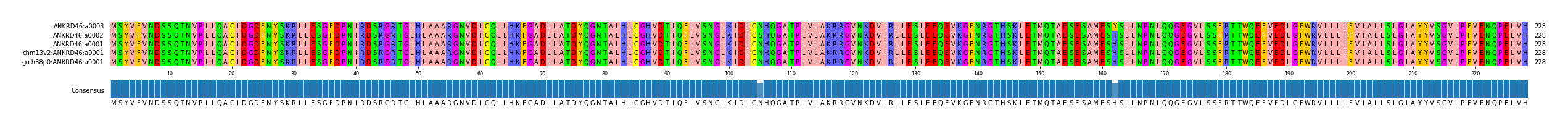 Multiple Alignments (by translate haplotype similarity)
