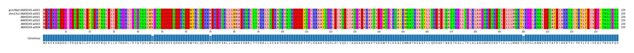 Multiple Alignments (by translate haplotype frequency)